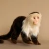 Hansa Capuchin Monkey Stuffed Animal 1 Hansa Capuchin Monkey Stuffed Animal -Hansa 2J2A0134 2