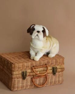 Hansa Bulldog Stuffed Animal