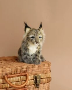 Hansa Lynx Cub Animal