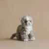 Hansa Grey Cat Stuffed Animal -Hansa 2J2A2277 2