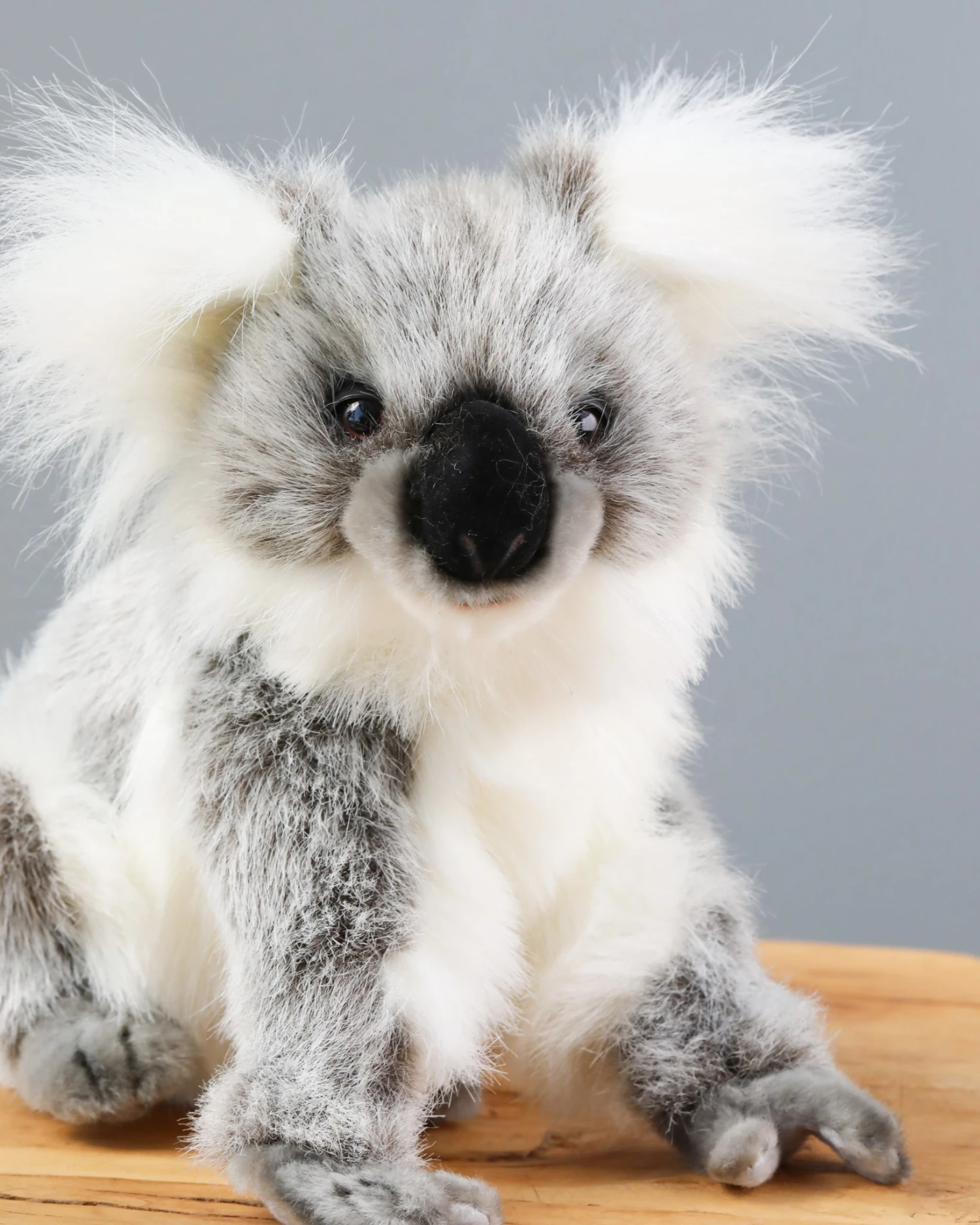 Hansa Baby Koala Stuffed Animal 4 Hansa Baby Koala Stuffed Animal - Image 2