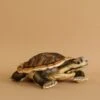 Hansa River Turtle Stuffed Animal -Hansa 2J2A7175 2