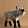 Hansa Grey Goat Stuffed Animal