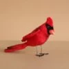 Hansa Cardinal Red Bird -Hansa 2J2A9257
