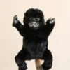 Hansa Gorilla Puppet -Hansa 2J2A9339 2