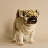Hansa Pug Dog Stuffed Animal