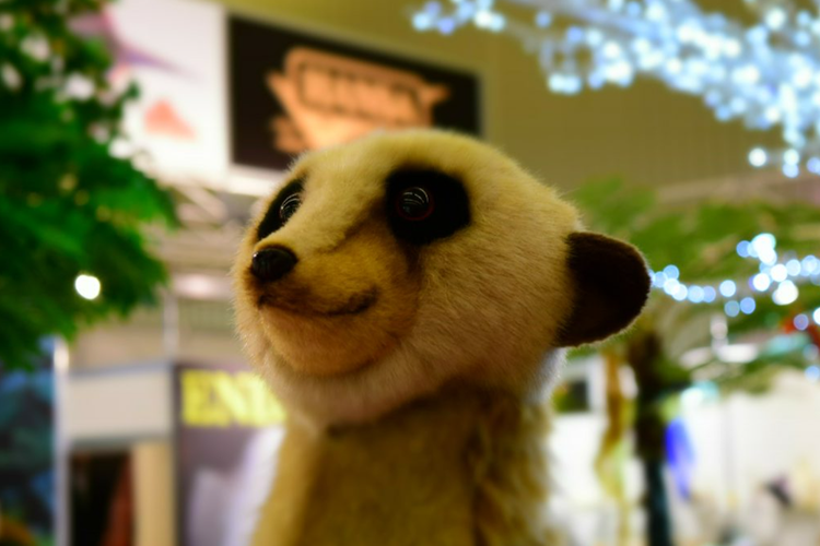 Hansa -Hansa 2301e4a44fc6f1ad99bbecd9c201d635